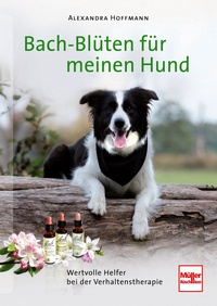Bach-Blüten für meinen Hund - Wertvolle Helfer bei der Verhaltenstherapie