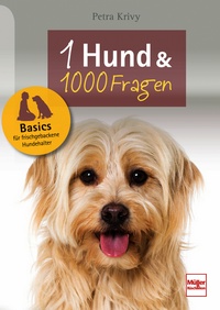 Ein Hund und 1000 Fragen - Basics für frischgebackene Hundehalter